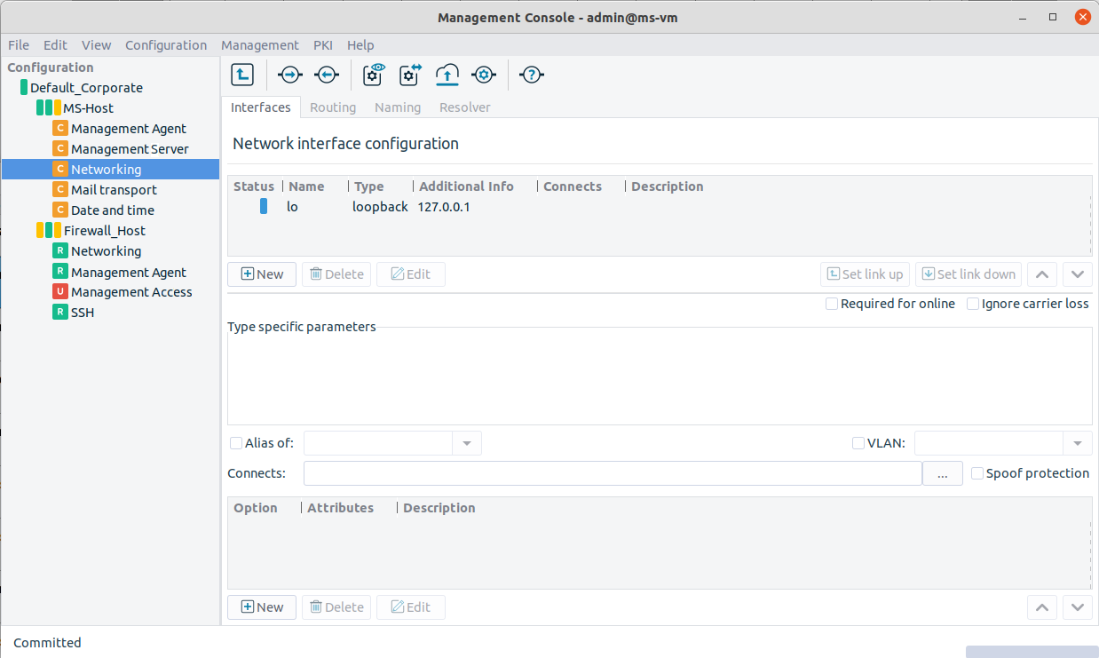 Networking configuration on MS_Host