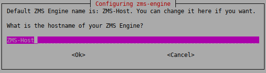 Configuring the hostname of the ZMS Engine supervising the Zorp host