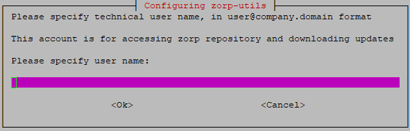 Configuring zorp-utils - Specifying the user name for the technical uer to access Zorp repository
