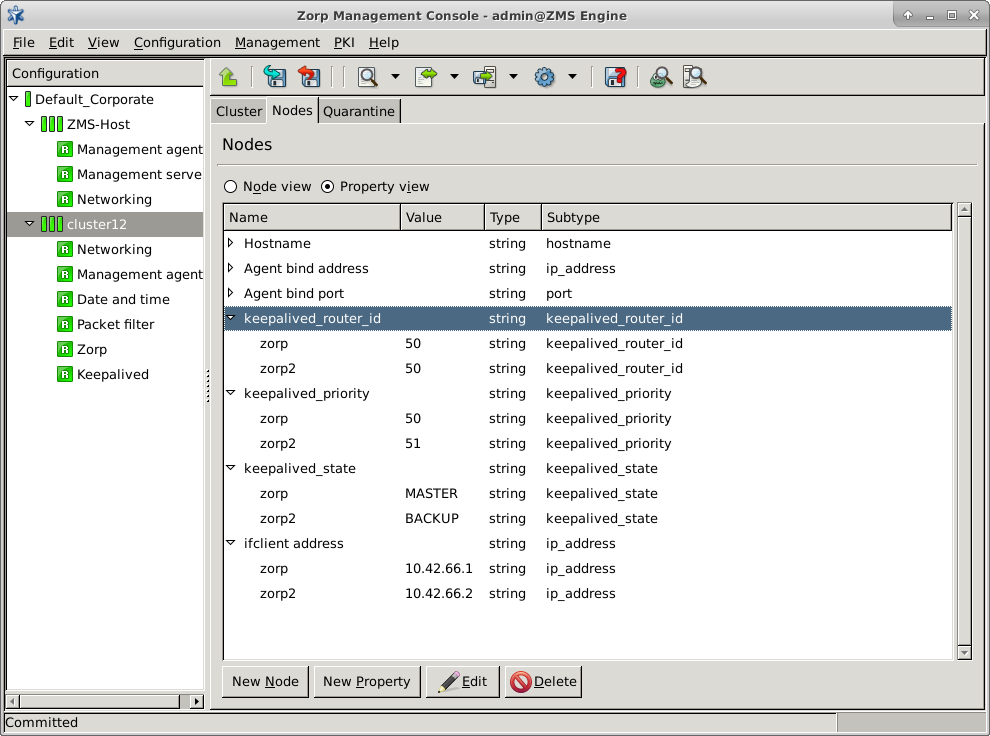 Multiple nodes in the same cluster